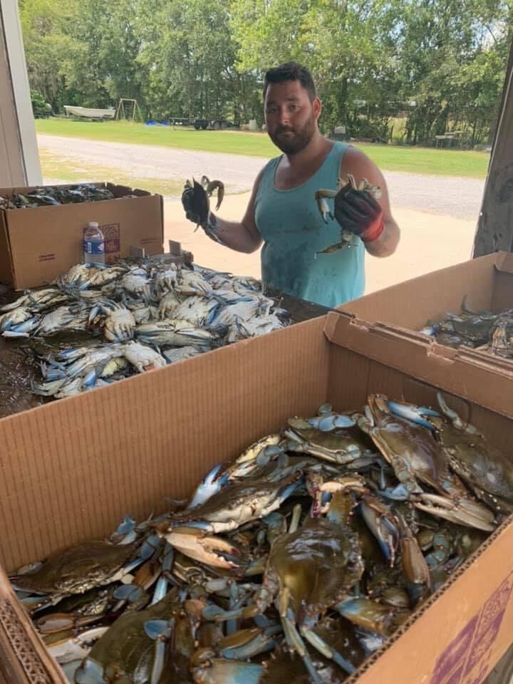 Baudoin Seafood 3